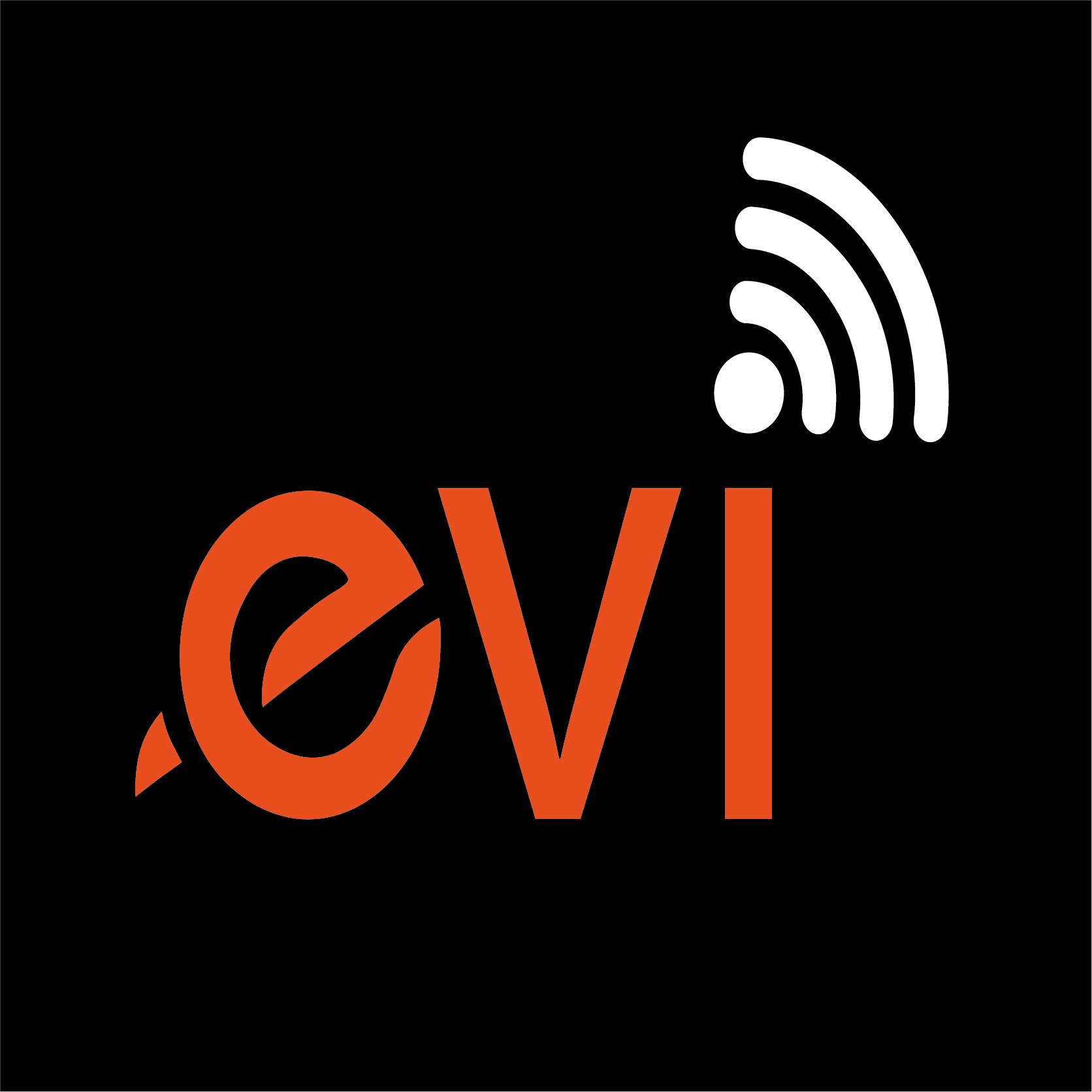 EVI SECURITY & NETWORKS
